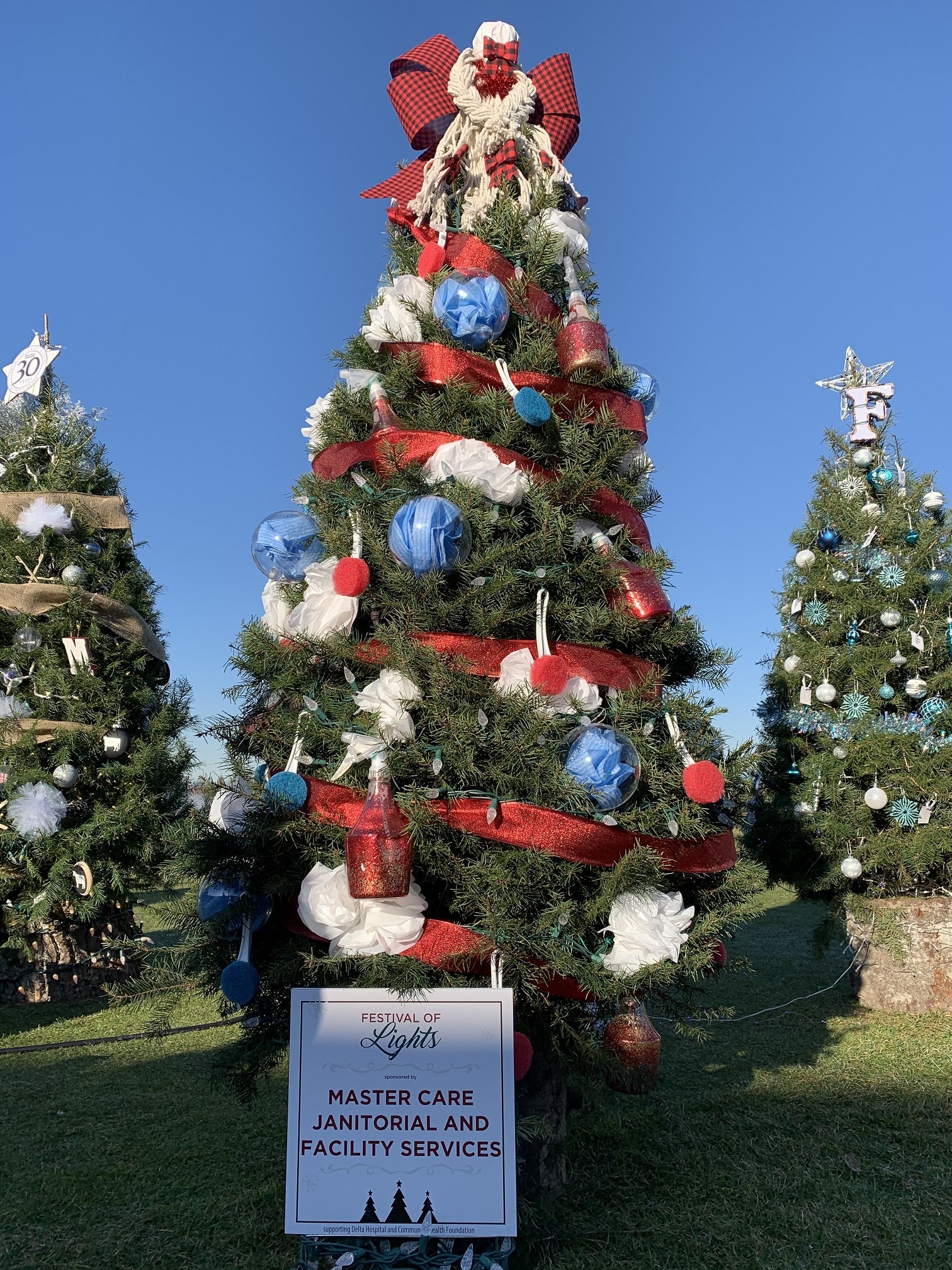 Festival of Lights tree